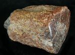 Large Polished Agatized Dinosaur Bone (Gem Bone) - Colorado #25263-1